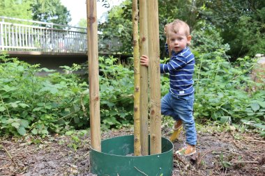 Jordano on the hanging willow