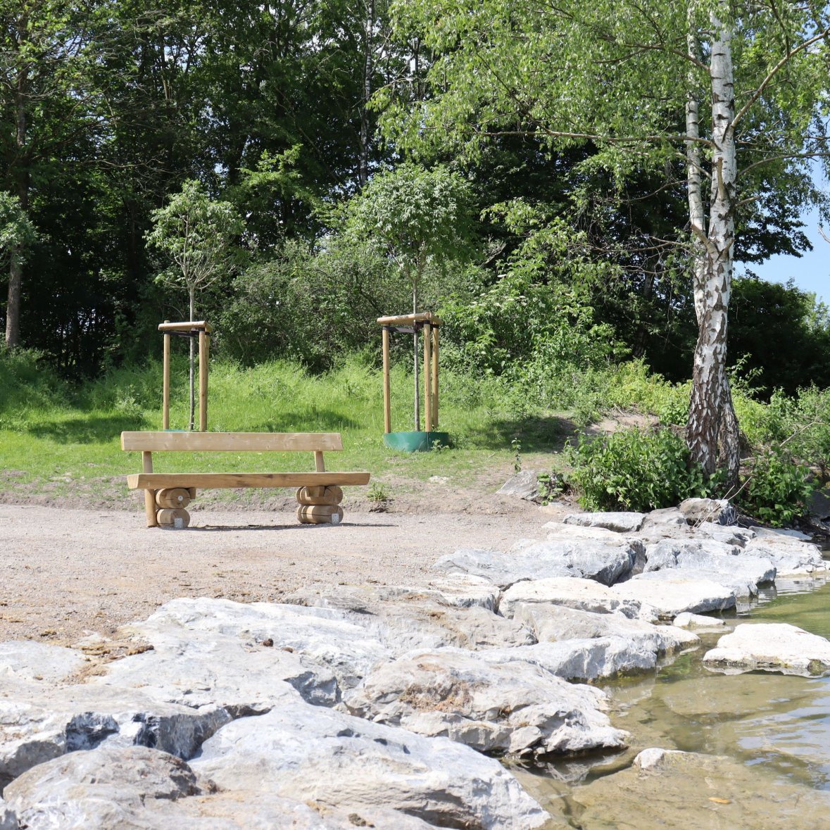 Bank of the Phoenixsee with bench