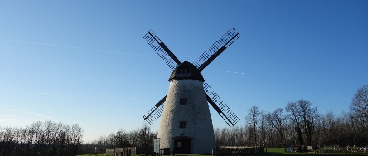 Höxbergmühle im Herbst