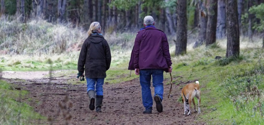 Paar mit angeleintem Hund im Wald