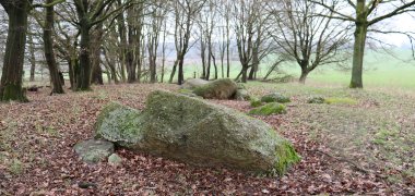 Steinkistengrab im Dalmer